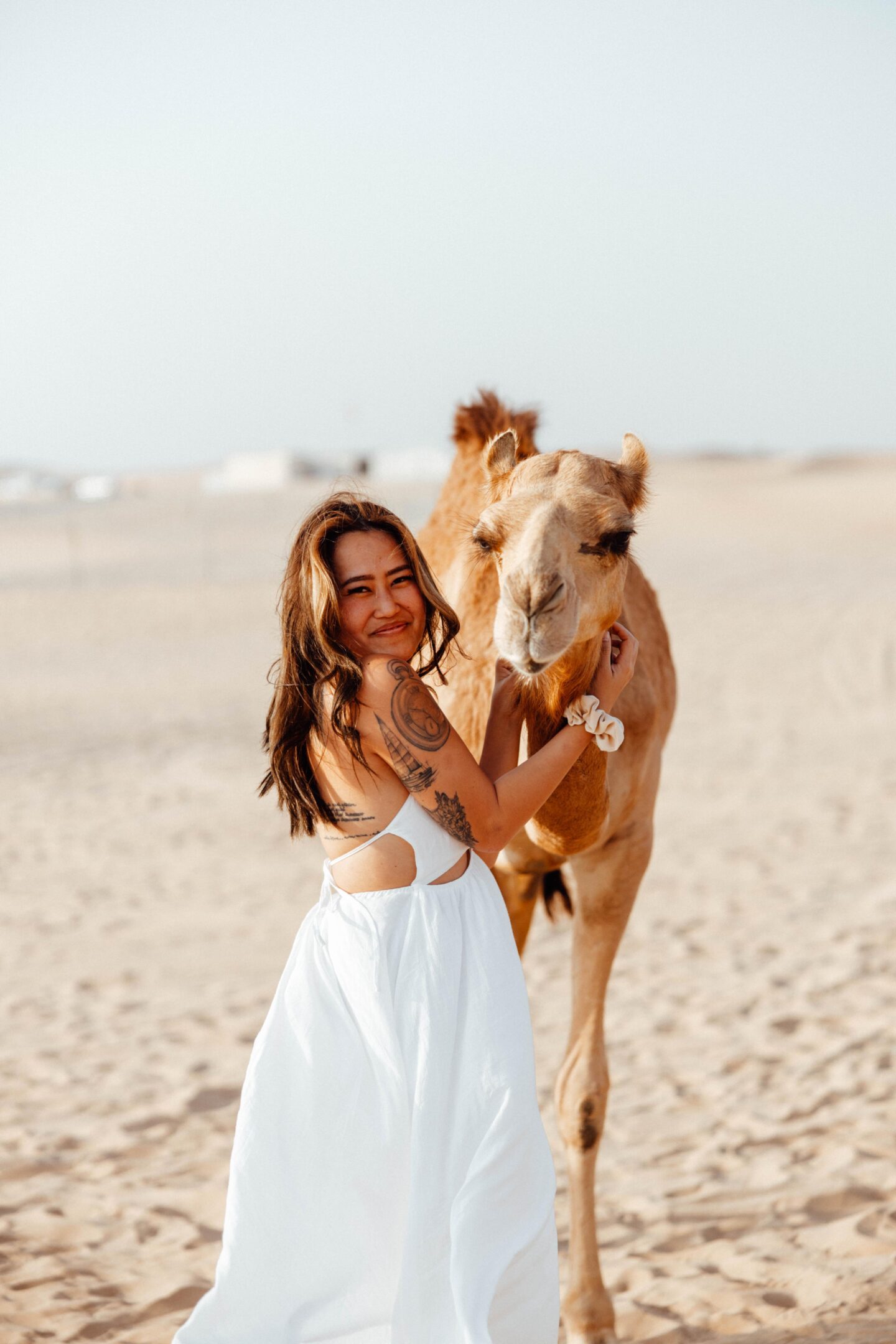 Sand Dunes & Camel Farm in Abu Dhabi